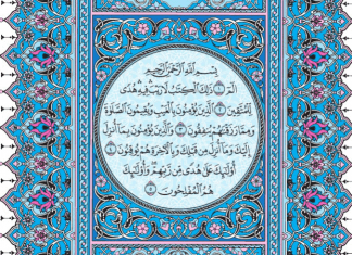হাফেজী কোরআন শরীফ পিডিএফ ডাউনলোড কুরআন শরীফ ডাউনলোড