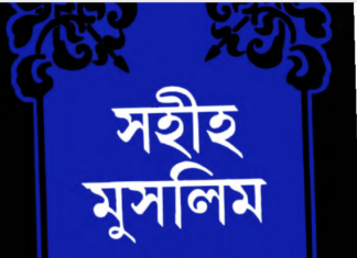 সহীহ মুসলিম শরীফ ৭ম খন্ড pdf বই ডাউনলোড সহীহ মুসলিম শরীফ ৭ম খন্ড pdf বই ডাউনলোড