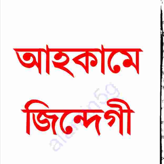 আহকামে জিন্দেগী pdf বই ডাউনলোড