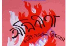 অগ্নিবীণা ইসলামিক ভার্সন pdf বই ডাউনলোড অগ্নিবীণা ইসলামিক ভার্সন pdf বই ডাউনলোড