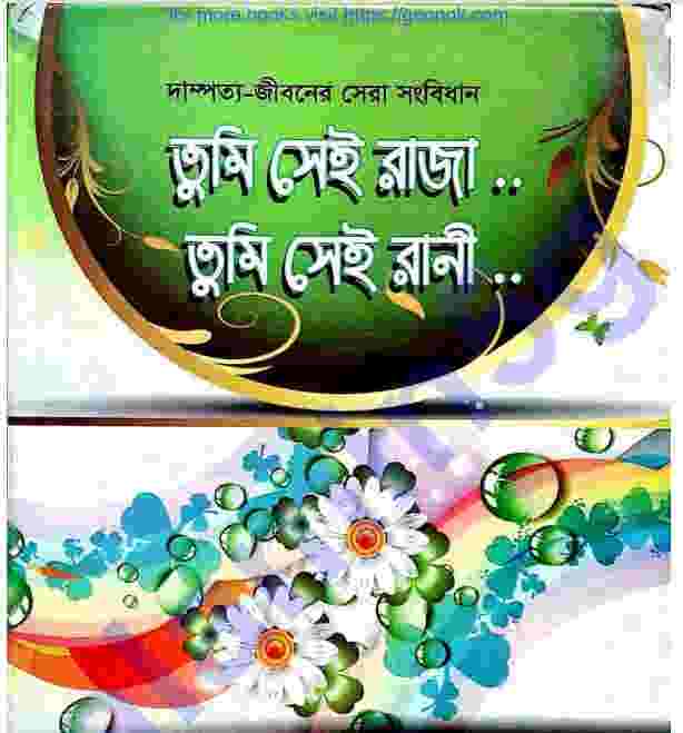 তুমি সেই রাণী ও রাজা pdf বই ডাউনলোড