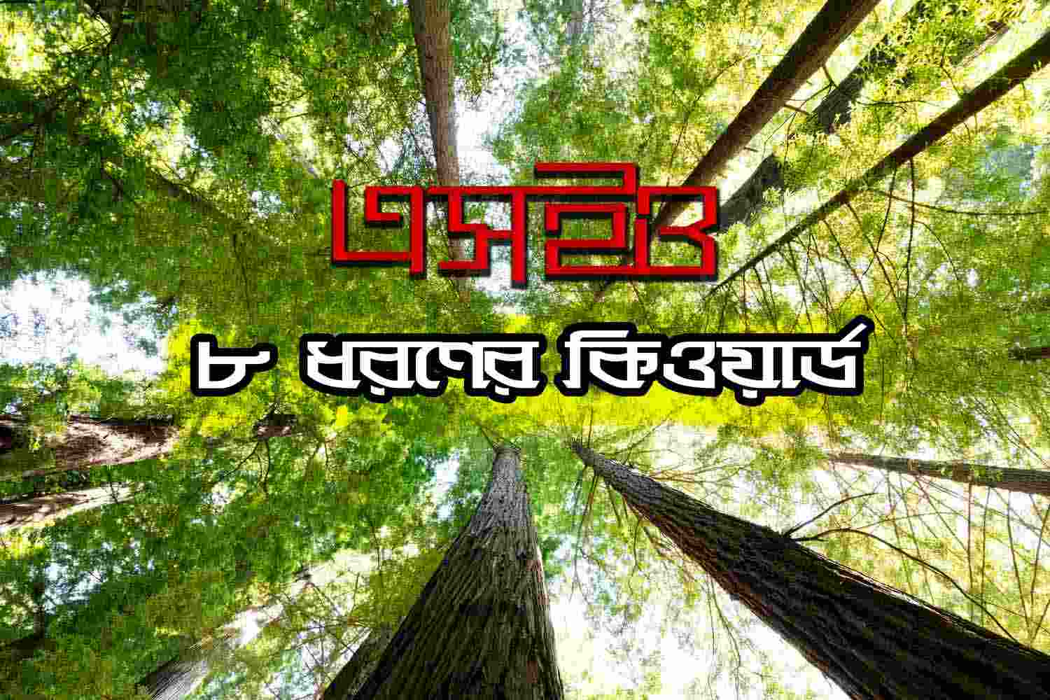 এসইও – ৮ ধরণের কীওয়ার্ড নিয়ে আলোচনা