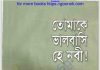 তোমাকে ভালবাসি হে নবী pdf বই ডাউনলোড তোমাকে ভালবাসি হে নবী pdf বই ডাউনলোড