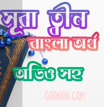 ৯৫ সূরা ত্বীন আরবী ও বাংলা অর্থ সহ ৯৫ সূরা ত্বীন আরবী ও বাংলা অর্থ সহ