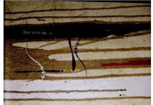 দুজন দুজনার pdf বই ডাউনলোড দুজন দুজনার pdf বই ডাউনলোড