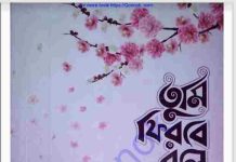 তুমি ফিরবে বলে pdf বই ডাউনলোড তুমি ফিরবে বলে pdf বই ডাউনলোড