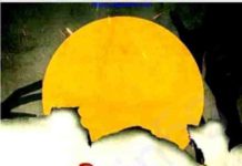 এইম ফর দ্যা স্টারস pdf বই ডাউনলোড এইম ফর দ্যা স্টারস pdf বই ডাউনলোড