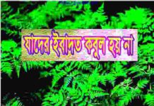 যাদের ইবাদত কবুল হয় না pdf বই ডাউনলোড যাদের ইবাদত কবুল হয় না pdf বই ডাউনলোড