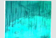 বৃষ্টিমুখর রৌদ্রমুখর pdf বই ডাউনলোড বৃষ্টিমুখর রৌদ্রমুখর pdf বই ডাউনলোড