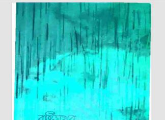 বৃষ্টিমুখর রৌদ্রমুখর pdf বই ডাউনলোড বৃষ্টিমুখর রৌদ্রমুখর pdf বই ডাউনলোড