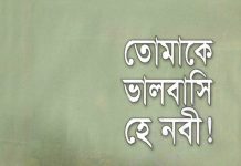তোমাকে ভালোবাসি হে নবী pdf বই ডাউনলোড তোমাকে ভালোবাসি হে নবী pdf বই ডাউনলোড