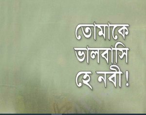 তোমাকে ভালোবাসি হে নবী pdf বই ডাউনলোড 