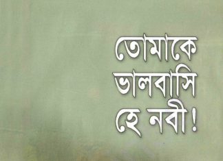 তোমাকে ভালোবাসি হে নবী pdf বই ডাউনলোড তোমাকে ভালোবাসি হে নবী pdf বই ডাউনলোড