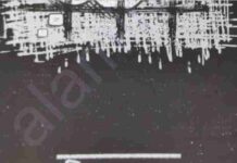 চিন্তাপরাধ pdf বই ডাউনলোড চিন্তাপরাধ pdf বই ডাউনলোড