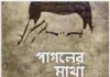 পাগলের মাথা খারাপ pdf বই ডাউনলোড পাগলের মাথা খারাপ pdf বই ডাউনলোড
