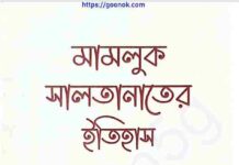 মামলুক সালতানাতের ইতিহাস pdf বই ডাউনলোড মামলুক সালতানাতের ইতিহাস pdf বই ডাউনলোড
