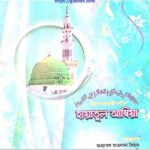 হায়াতুল আম্বিয়া pdf বই ডাউনলোড